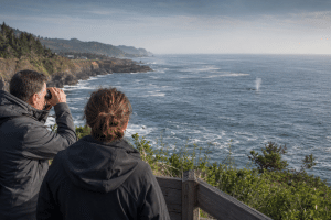 Two people watching a whale spout from a high Oregon Coast viewpoint with binoculars.