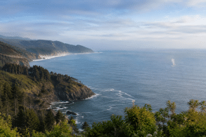 Wide view of Oregon Coast cliffs and forested headlands with a whale spout visible offshore.