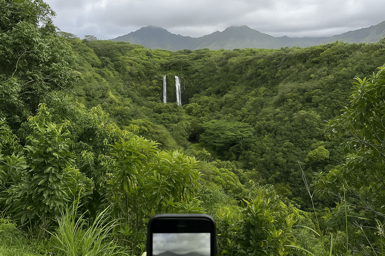 Waterfall in Kauai during a shore excursion.