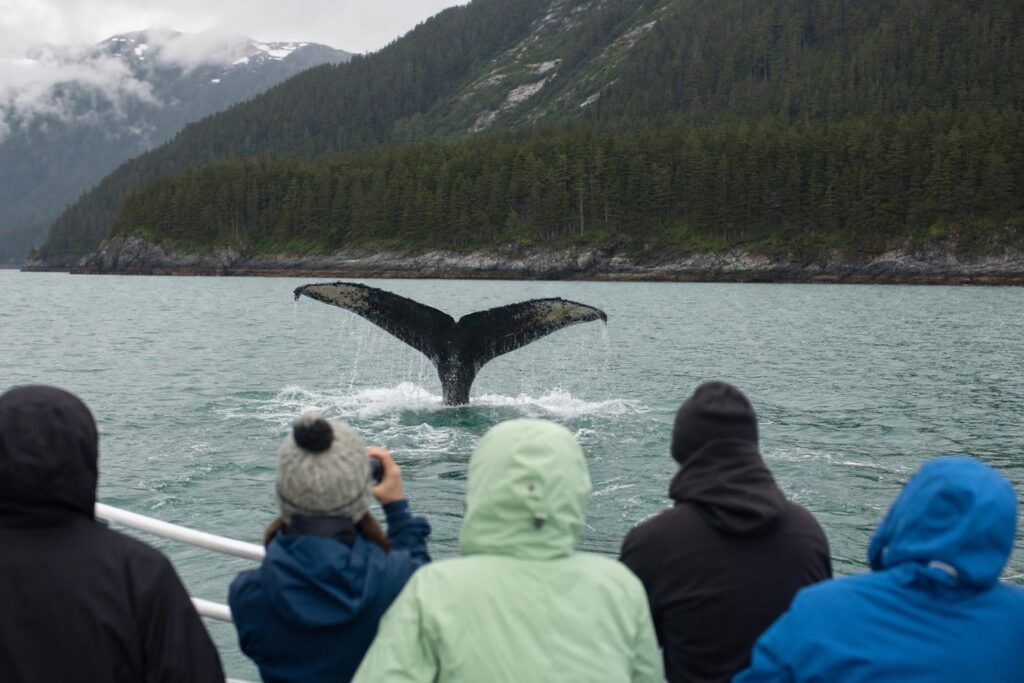Passengers in rain jackets on a small boat watching a humpback whale tail in Alaska waters