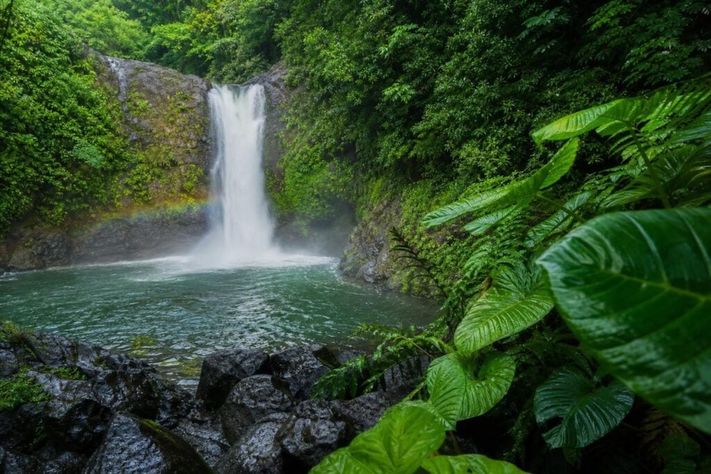 Rainforest waterfall with a faint rainbow in the mist and wet black rocks on the Big Island