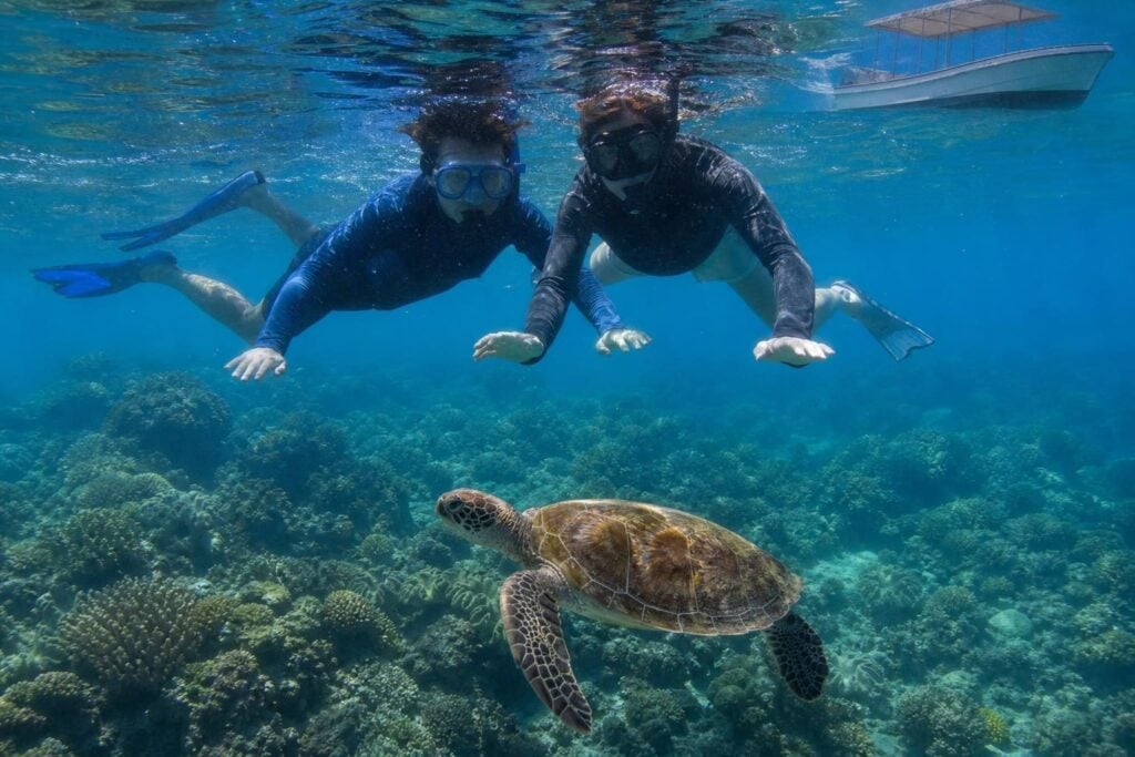 Two snorkelers floating above a coral reef with a green sea turtle below and a skiff at the surface